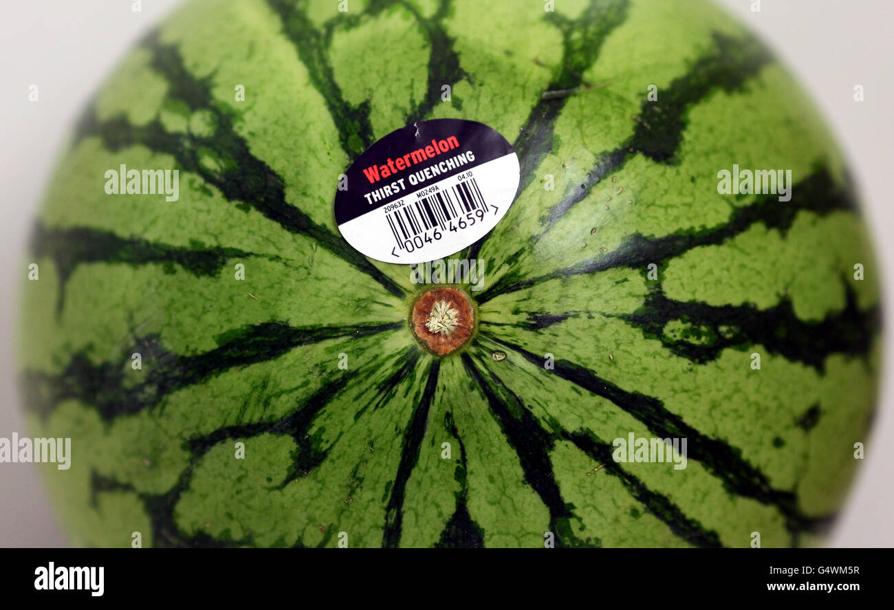 Food poisoning link to watermelons Stock Photo Alamy