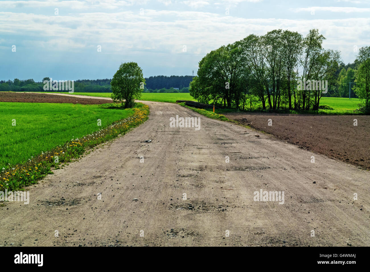 Ground road through agricultural fields.Along the road plowed brown fields and green grain fields. Stock Photo