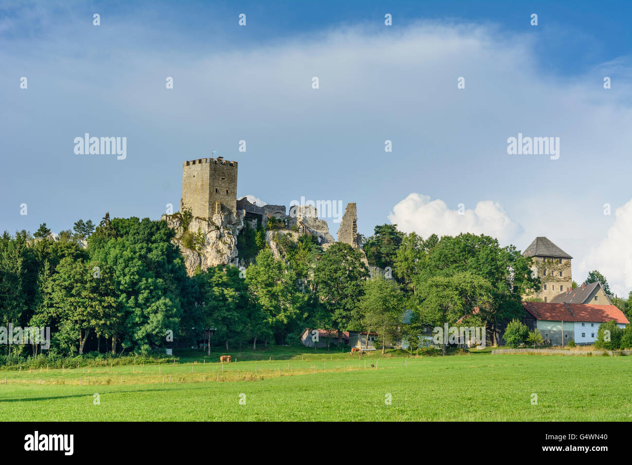 Weißenstein Castle, Regen, Germany, Bayern, Bavaria, Niederbayern, Lower Bavaria Stock Photo