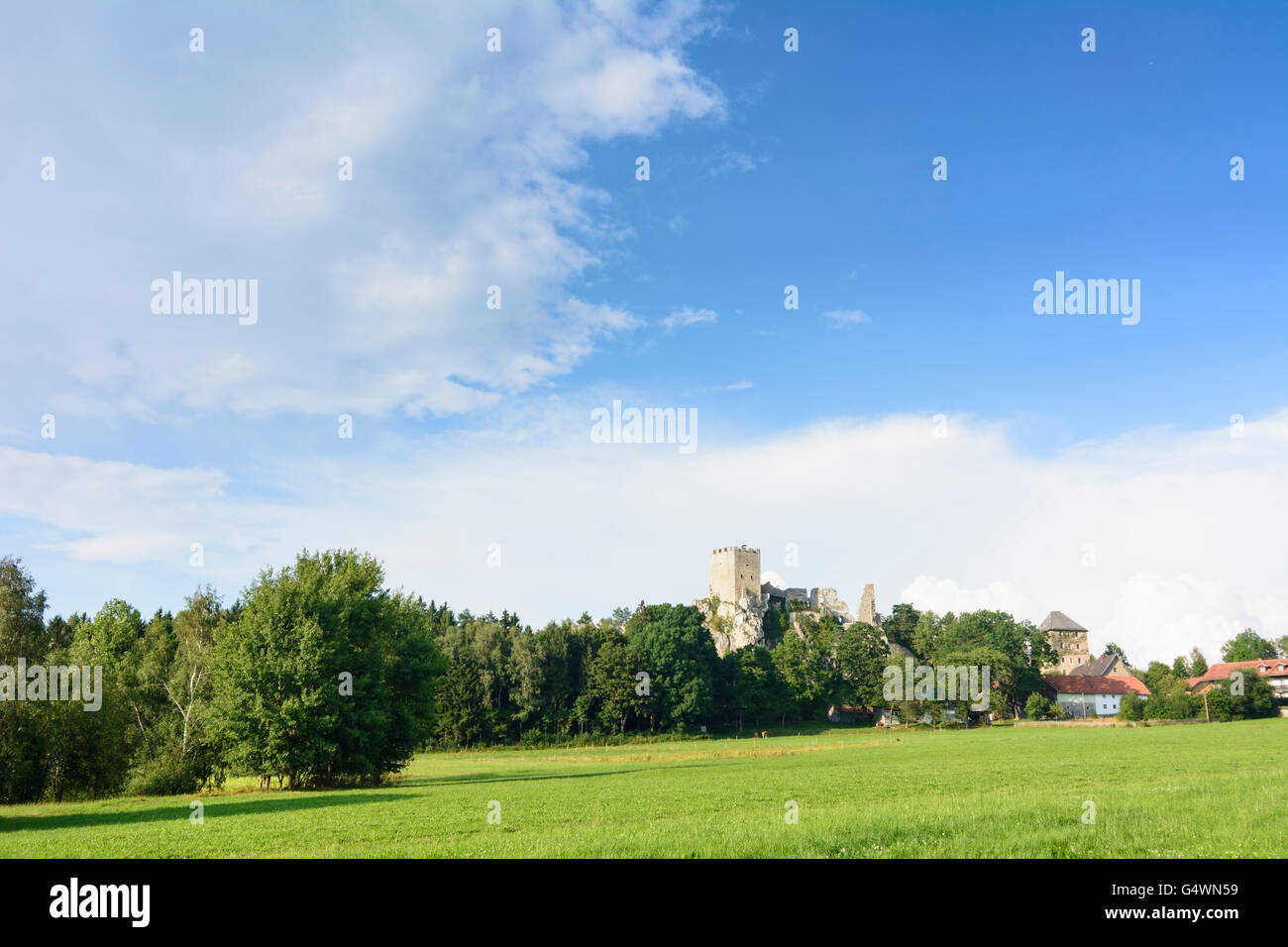 Weißenstein Castle, Regen, Germany, Bayern, Bavaria, Niederbayern, Lower Bavaria Stock Photo