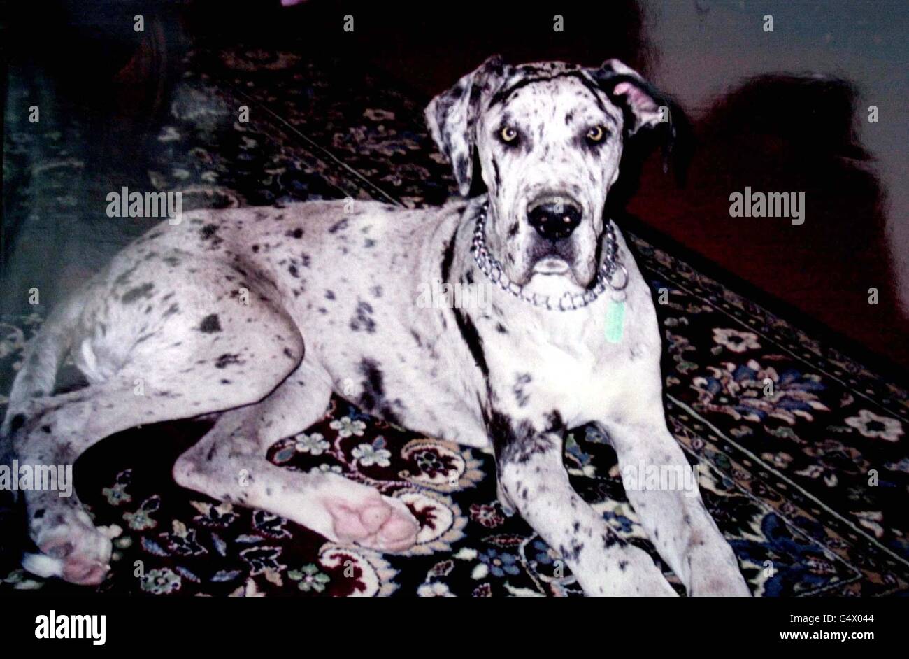 https://www.alamy.com/licenses-and-pricing/?v=1