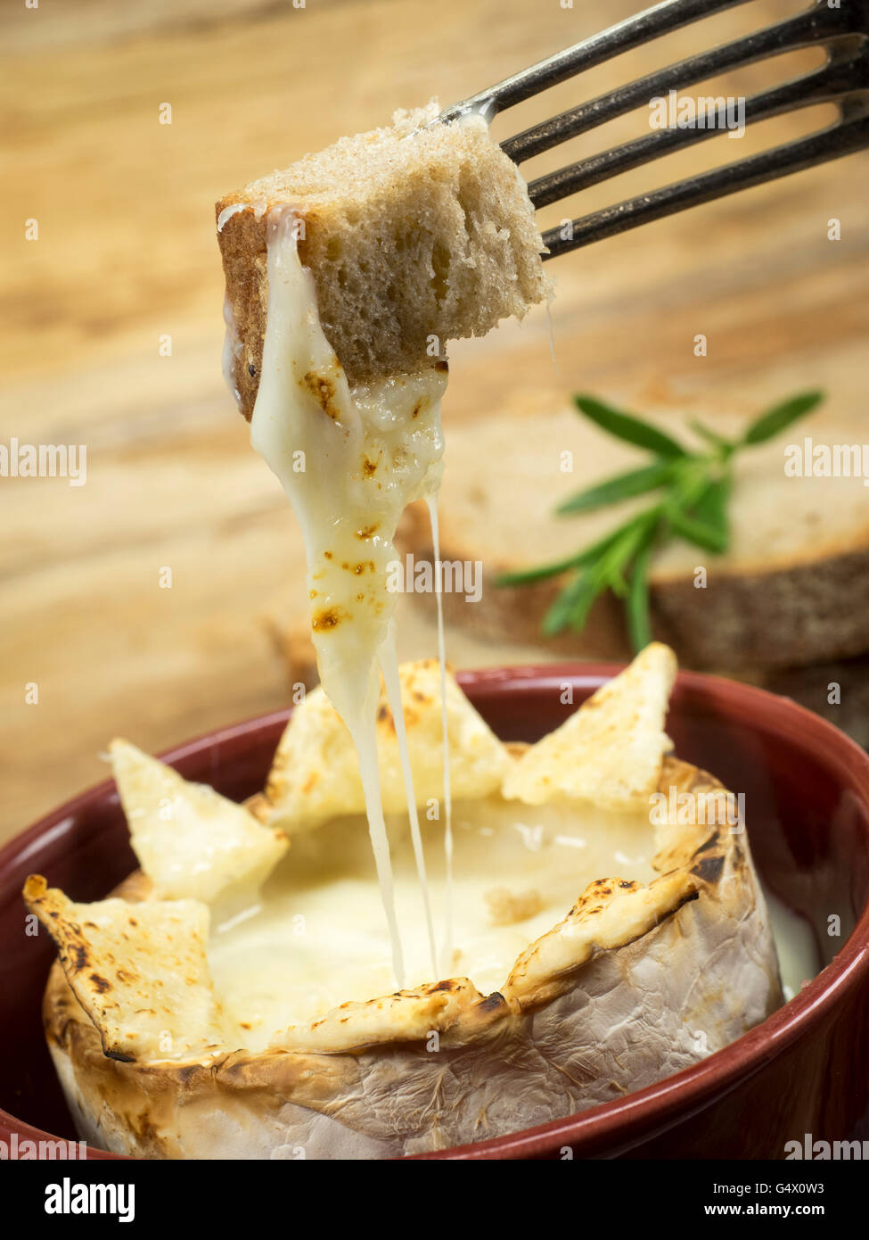 Baked Camembert made from goat cheese with bread cubes Stock Photo