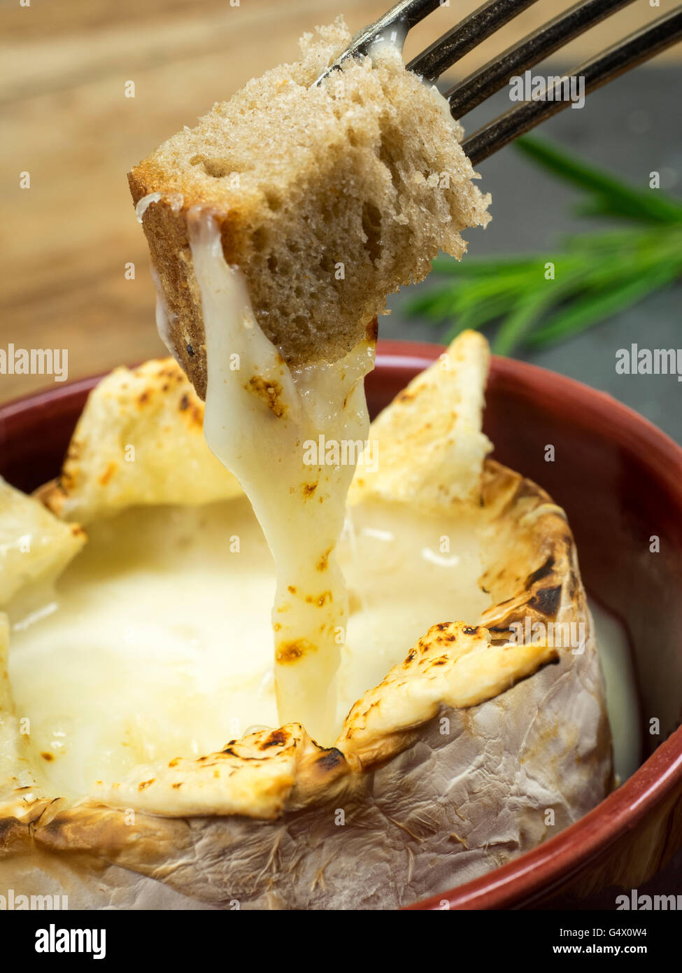 Baked Camembert made from goat cheese with bread cubes Stock Photo