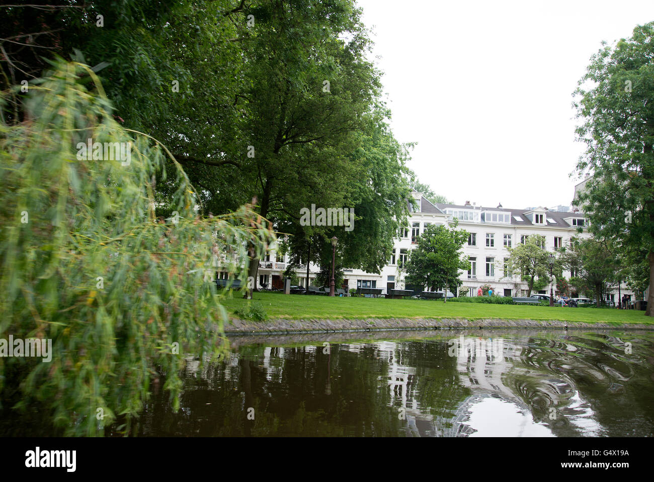 Weeping willow trees, grass lawns and houses along the sides of the Artis canal near the zoo in Amsterdam city center Stock Photo