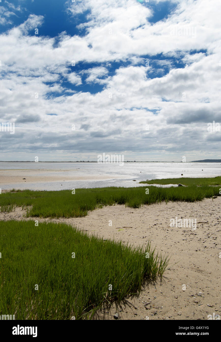 Plymouth, Massachusetts beach with wild grass and clouds Stock Photo