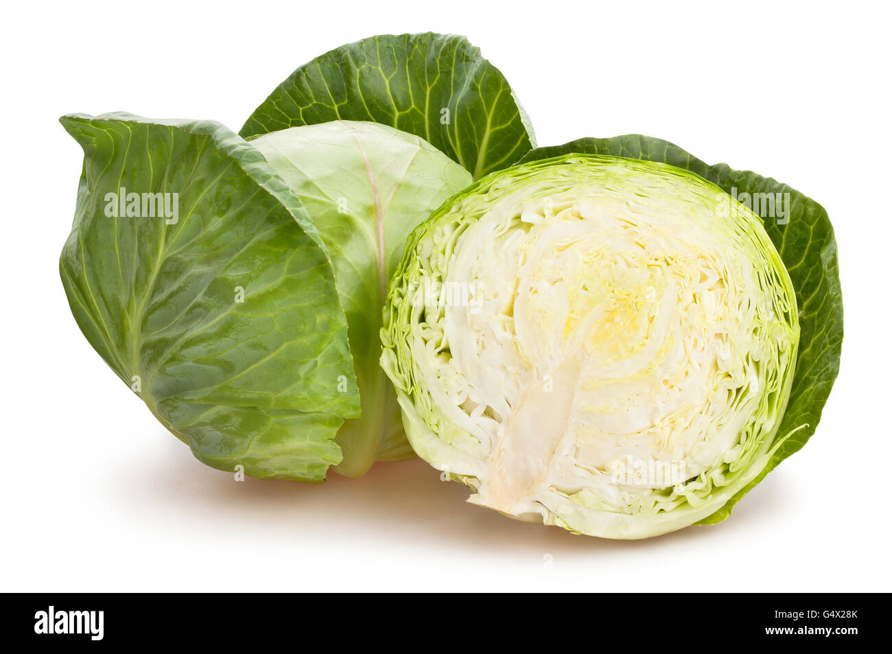 cabbage isolated Stock Photo