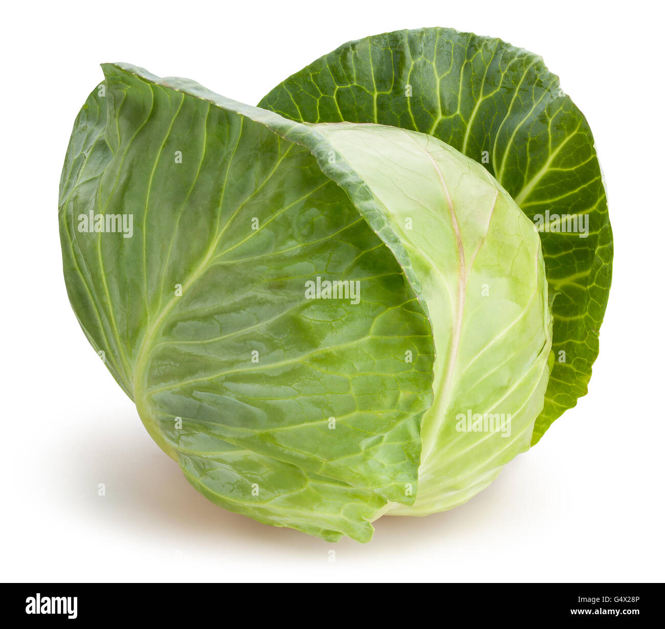 cabbage isolated Stock Photo