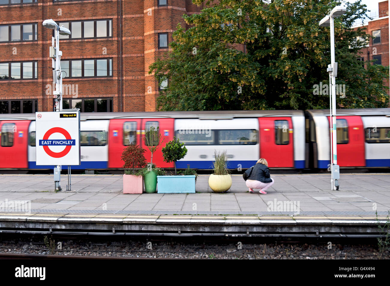 A woman squats by some pastel coloured plant pots on East Finchley Tube station platform, as a train passes by. Stock Photo