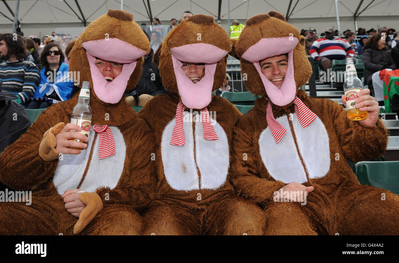 Rugby sevens fancy dress hires stock photography and images Alamy