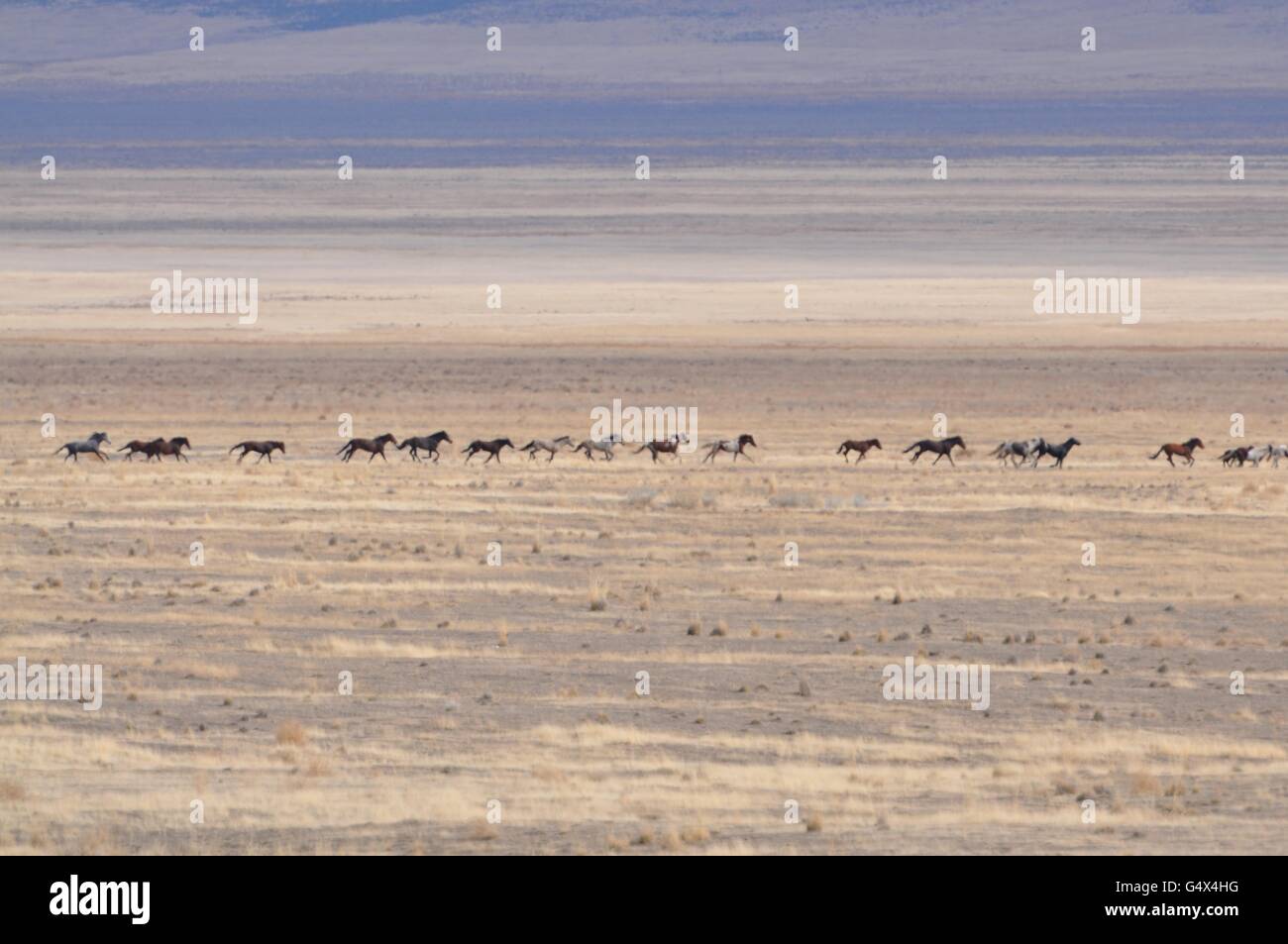 Dugway proving ground hires stock photography and images Alamy