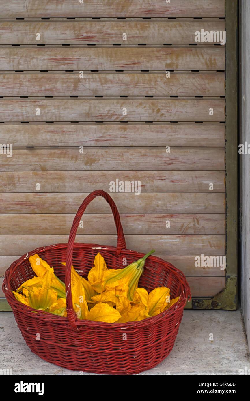 Yellow zucchini, courgette flowers in red basket on sill. Italian