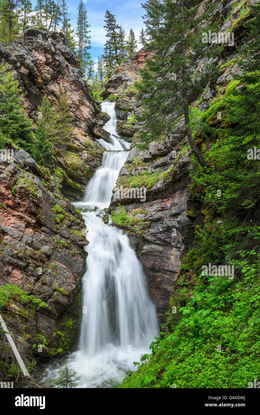 lodgepole creek falls in lolo national forest near ovando, montana
