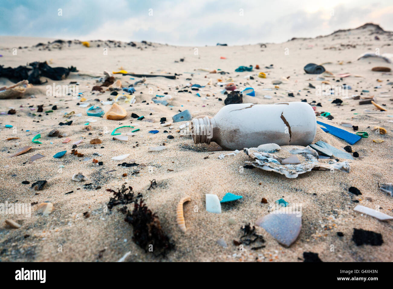 Trash on Beach South Padre Island, Texas, USA Stock Photo Alamy