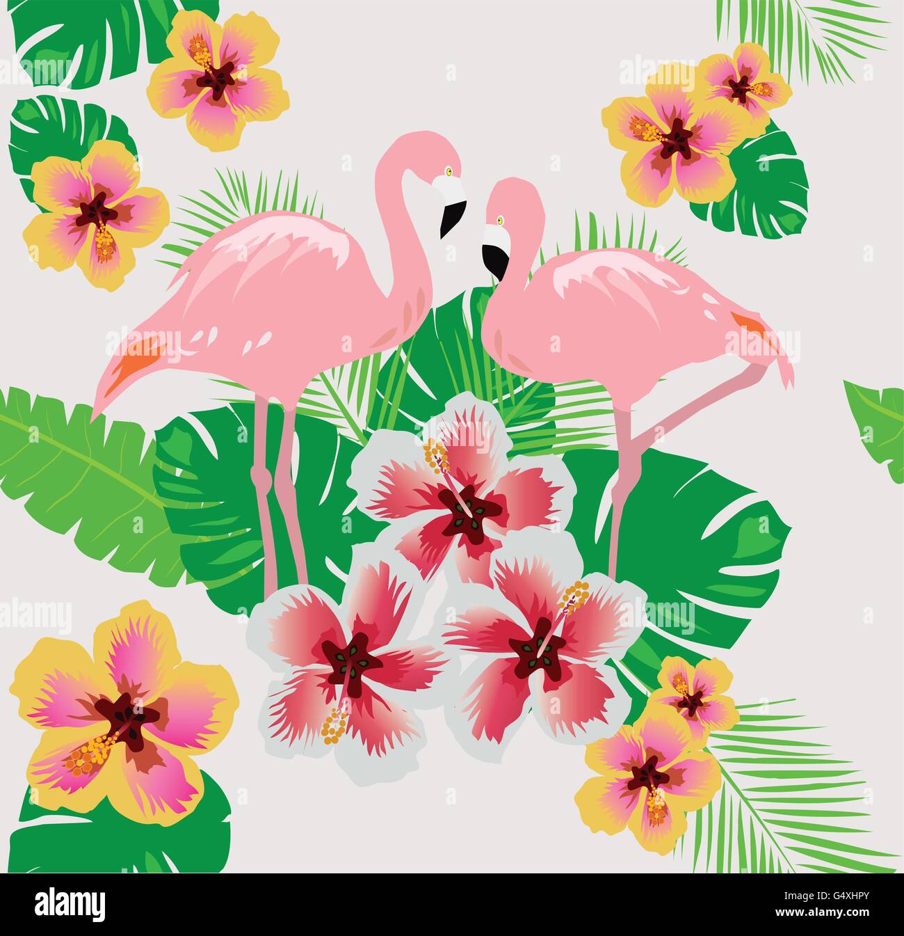 vector illustration of floral frame with bird Stock Vector Image & Art ...