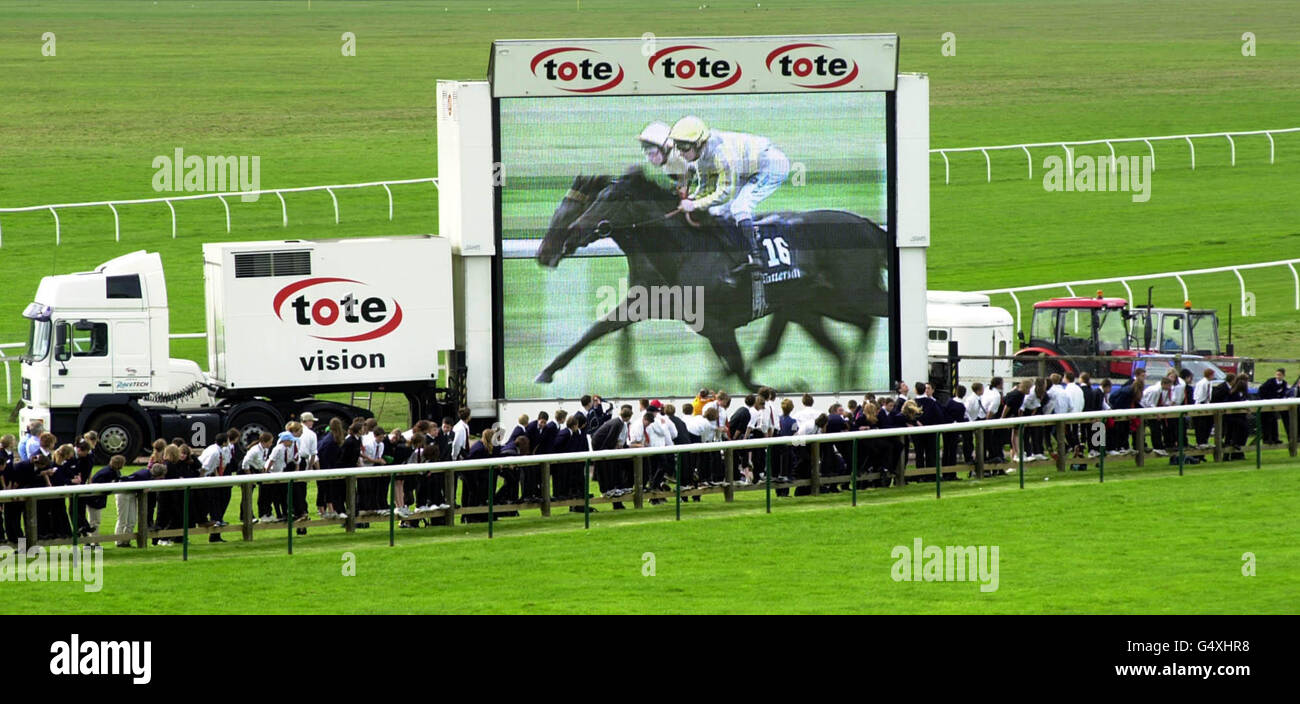Newmarket racing TV kids Stock Photo Alamy