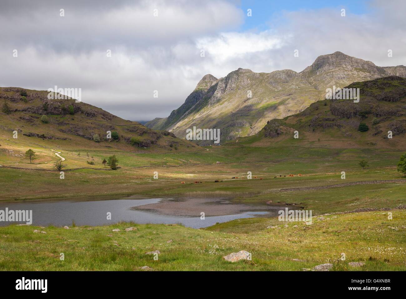 Blea Tarn, The Lake District, Cumbria, England Stock Photo