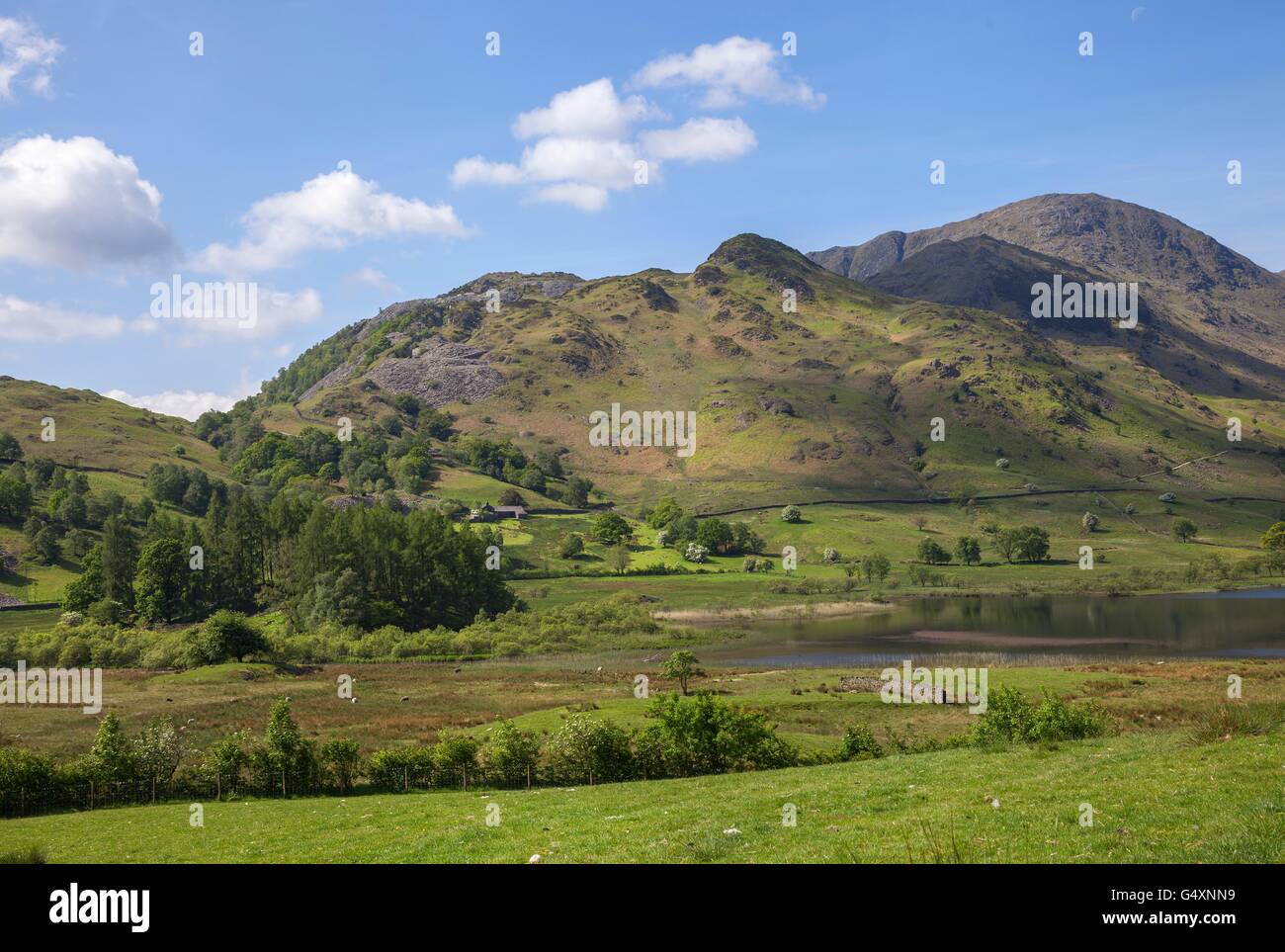Little Langdale Tarn, Lake District, Cumbria, England Stock Photo