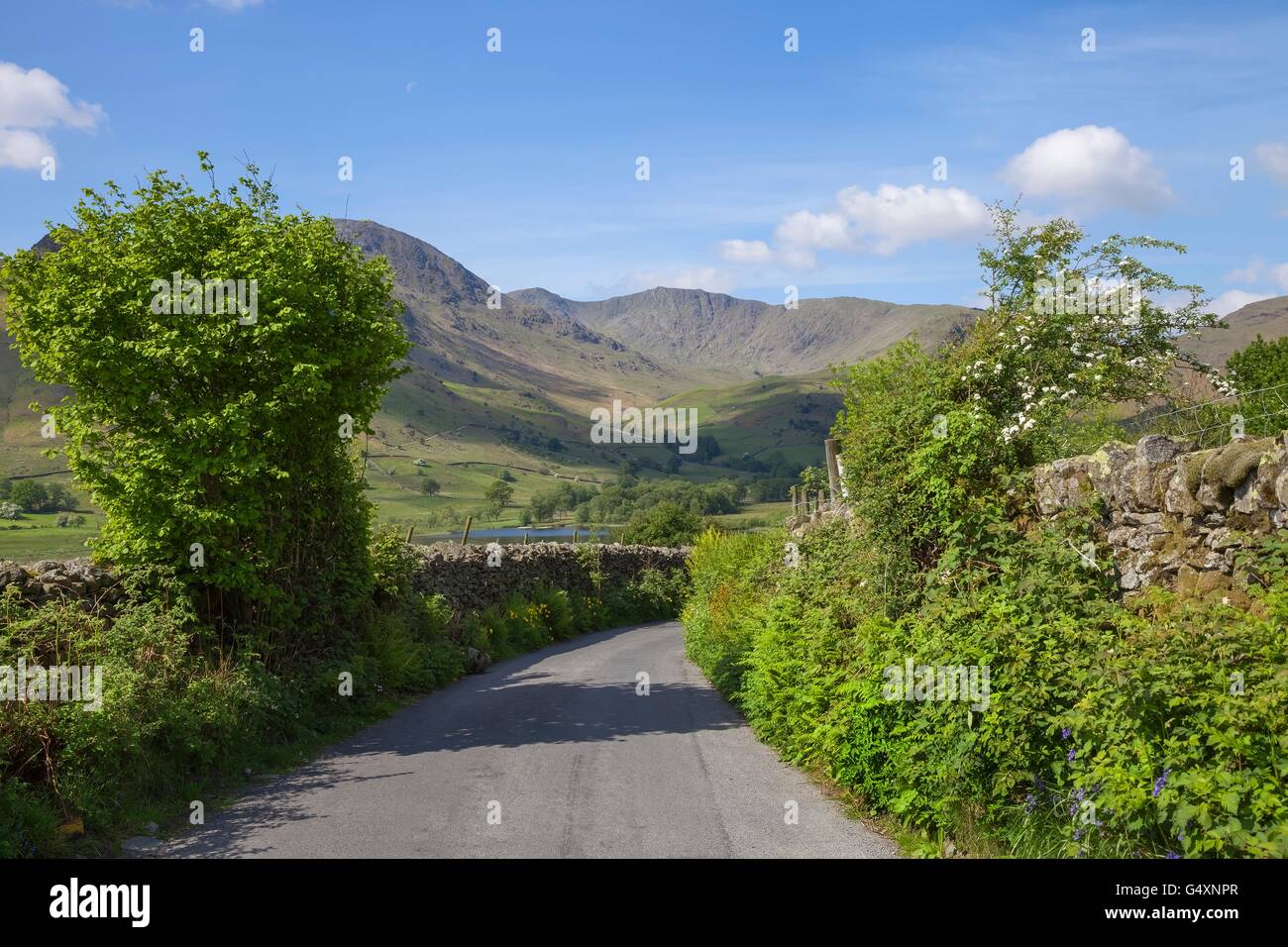 Pretty lane at Little Langdale Tarn, Lake District, Cumbria, England Stock Photo