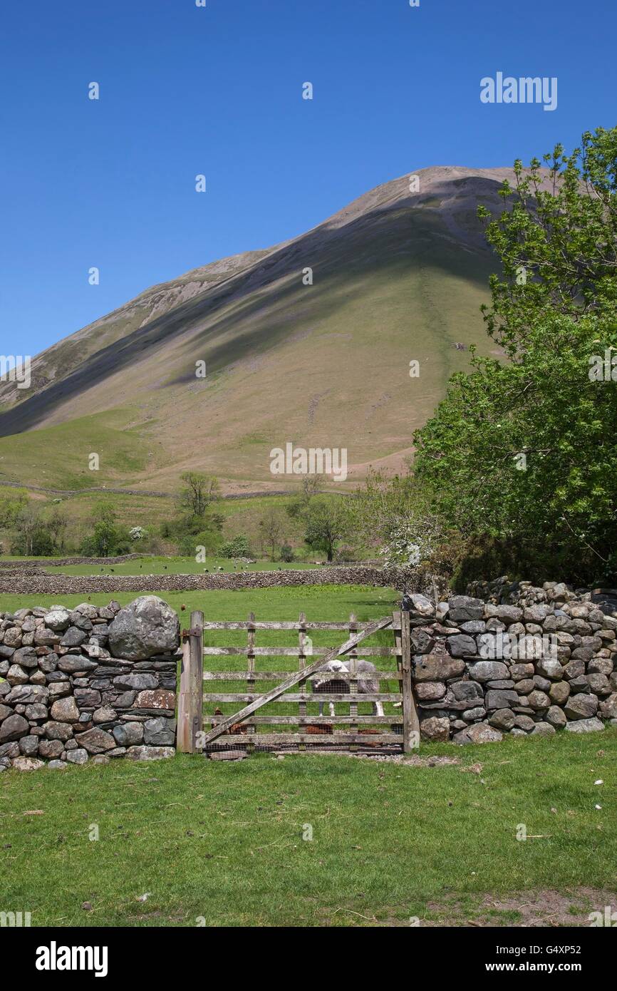 Wasdale Head, Wast Water, Lake District, Cumbria, England Stock Photo