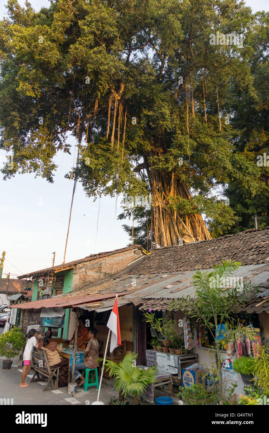 Java tribe hi-res stock photography and images - Alamy