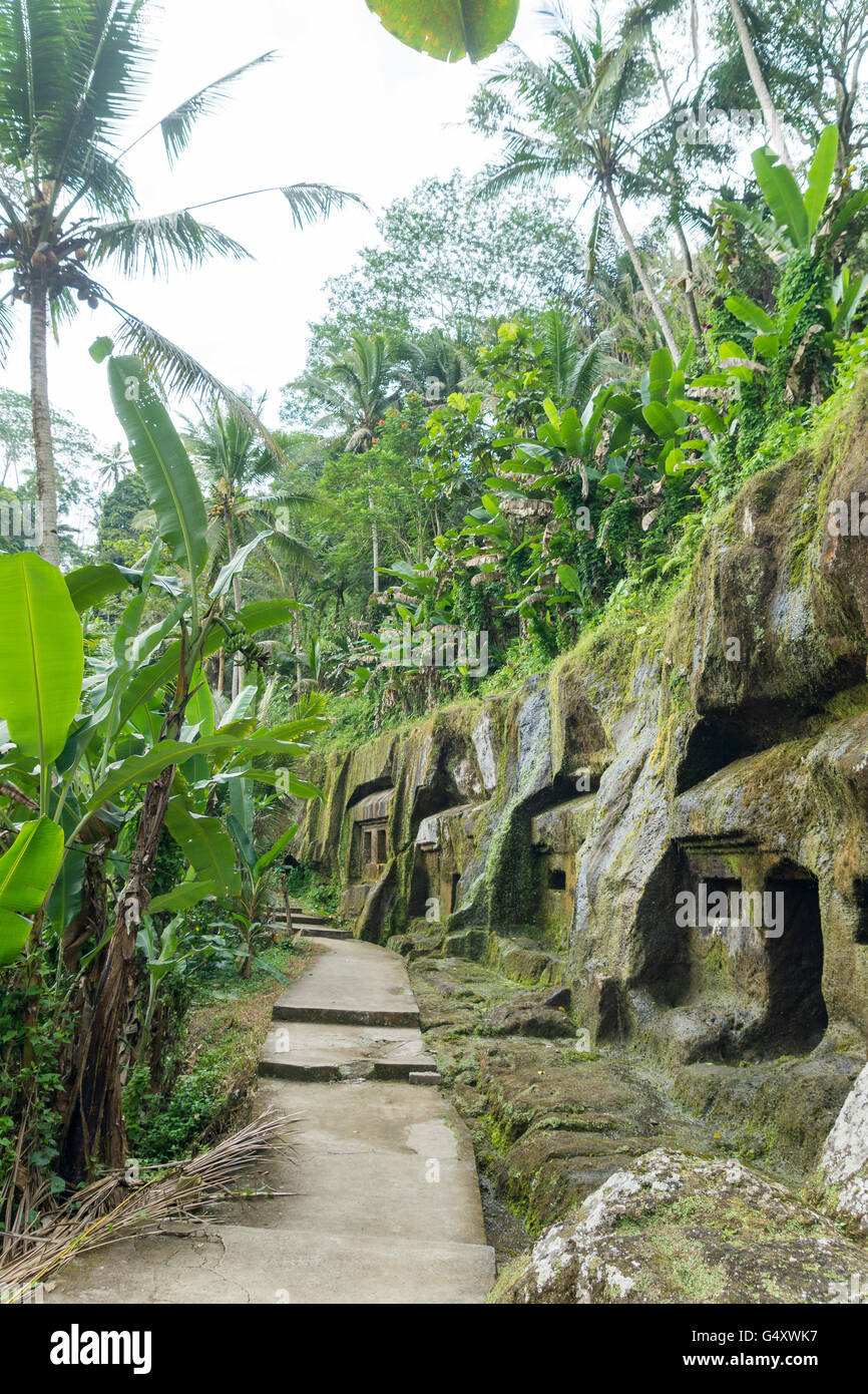 Indonesia, Bali, Gianyar, Path through the Palms Forest in Gunung Kawi, Banjar Penaka is the name of the village in tampaksiring, Gunung Kawi village Stock Photo