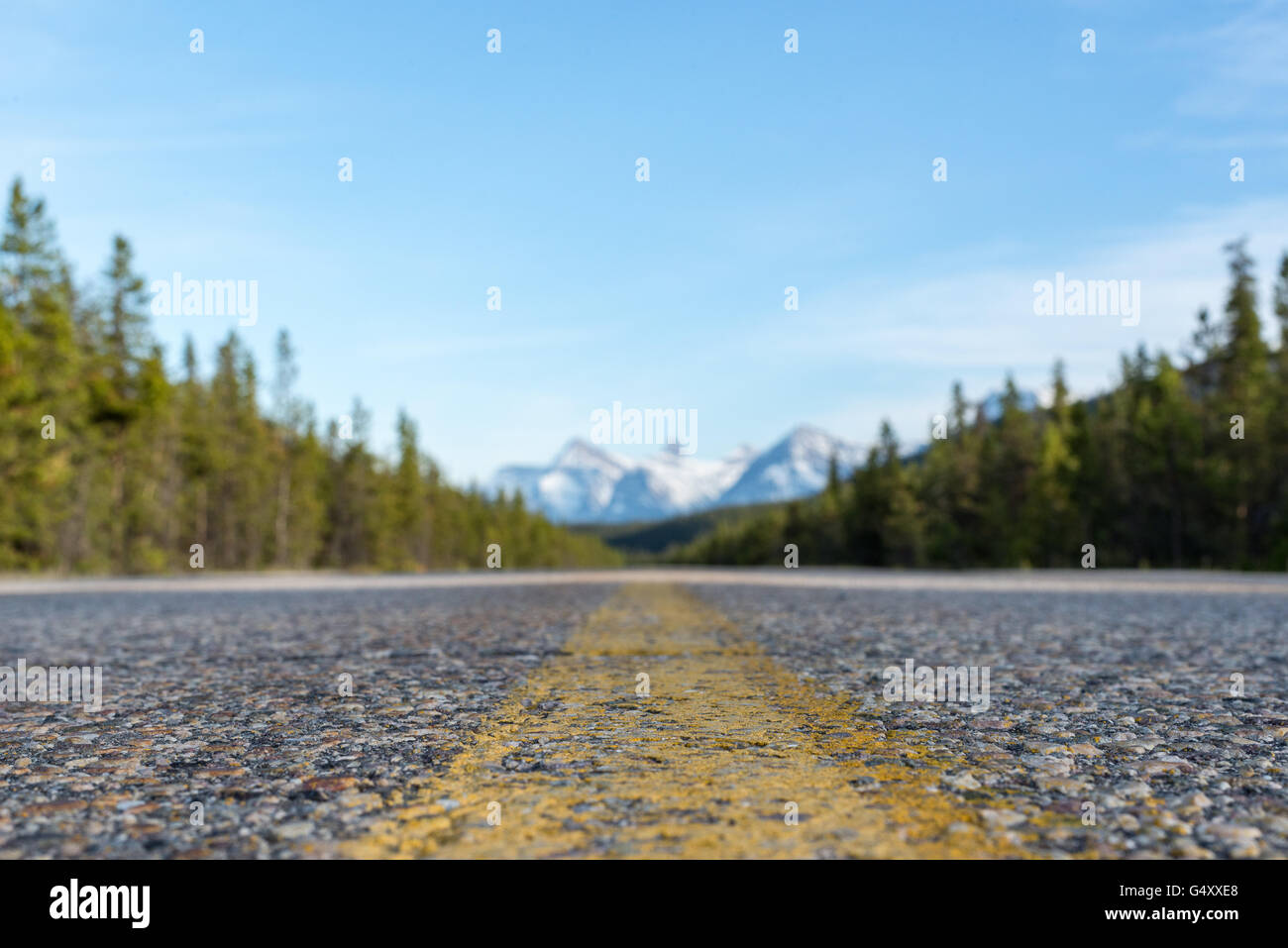 Canada, Alberta, Jasper National Park, road through the wilderness