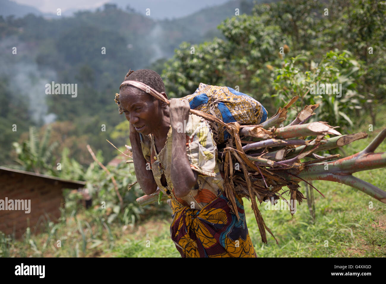 A woman carries firewood down a rural village lane in the foothills of the Rwenzori Mountains on the DRC / Uganda border. Stock Photo