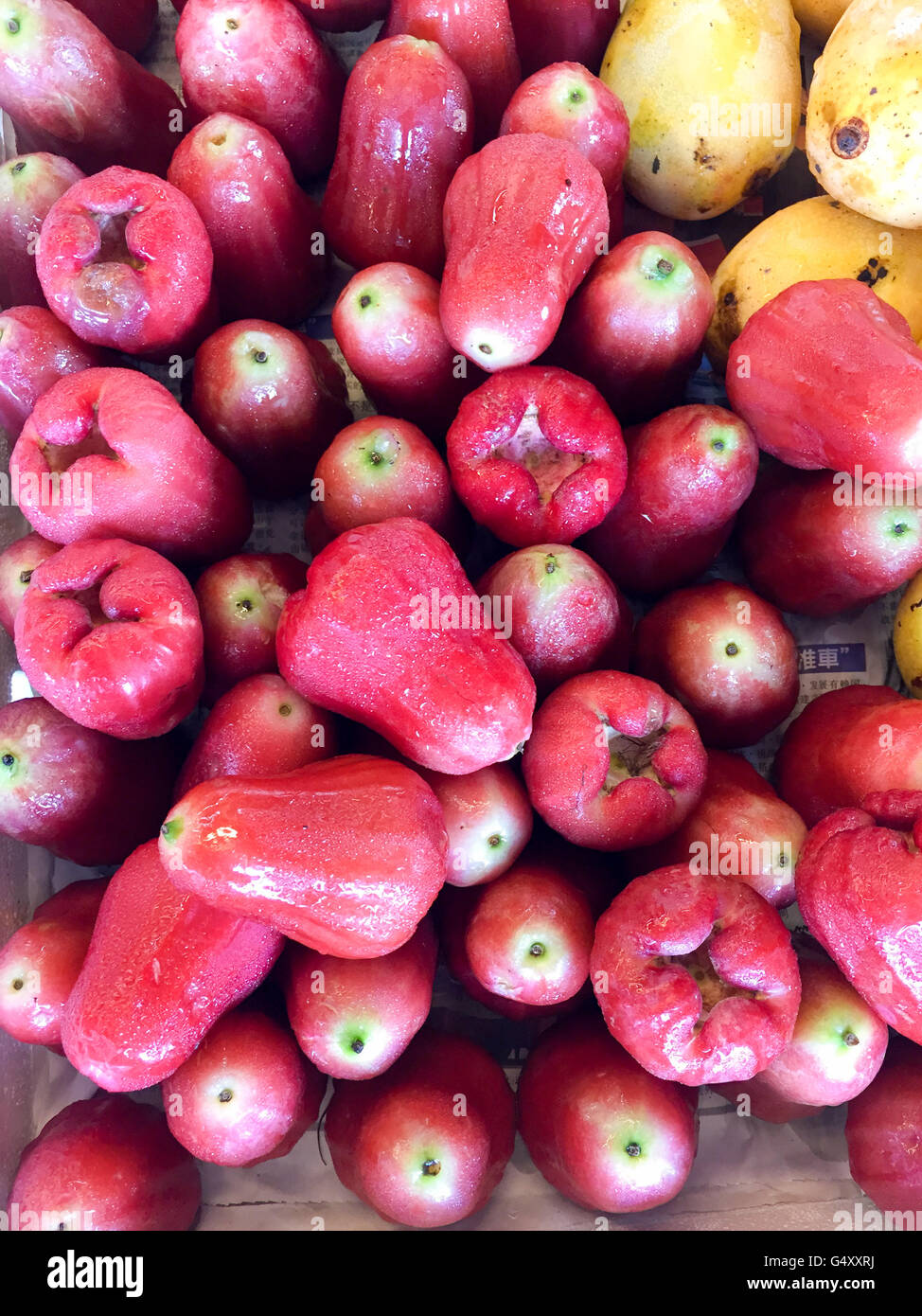 Malaysia, Penang, fresh rose apples from Penang Stock Photo Alamy