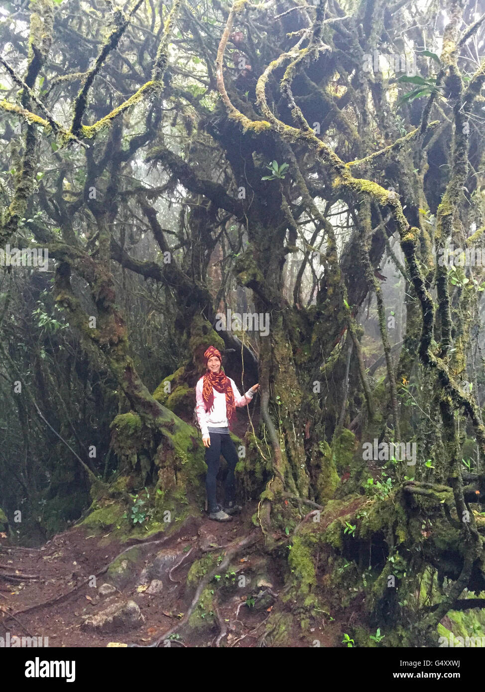 Malaysia, Pahang, wife in the Moosy Forrest of the Cameron Highlands Stock Photo