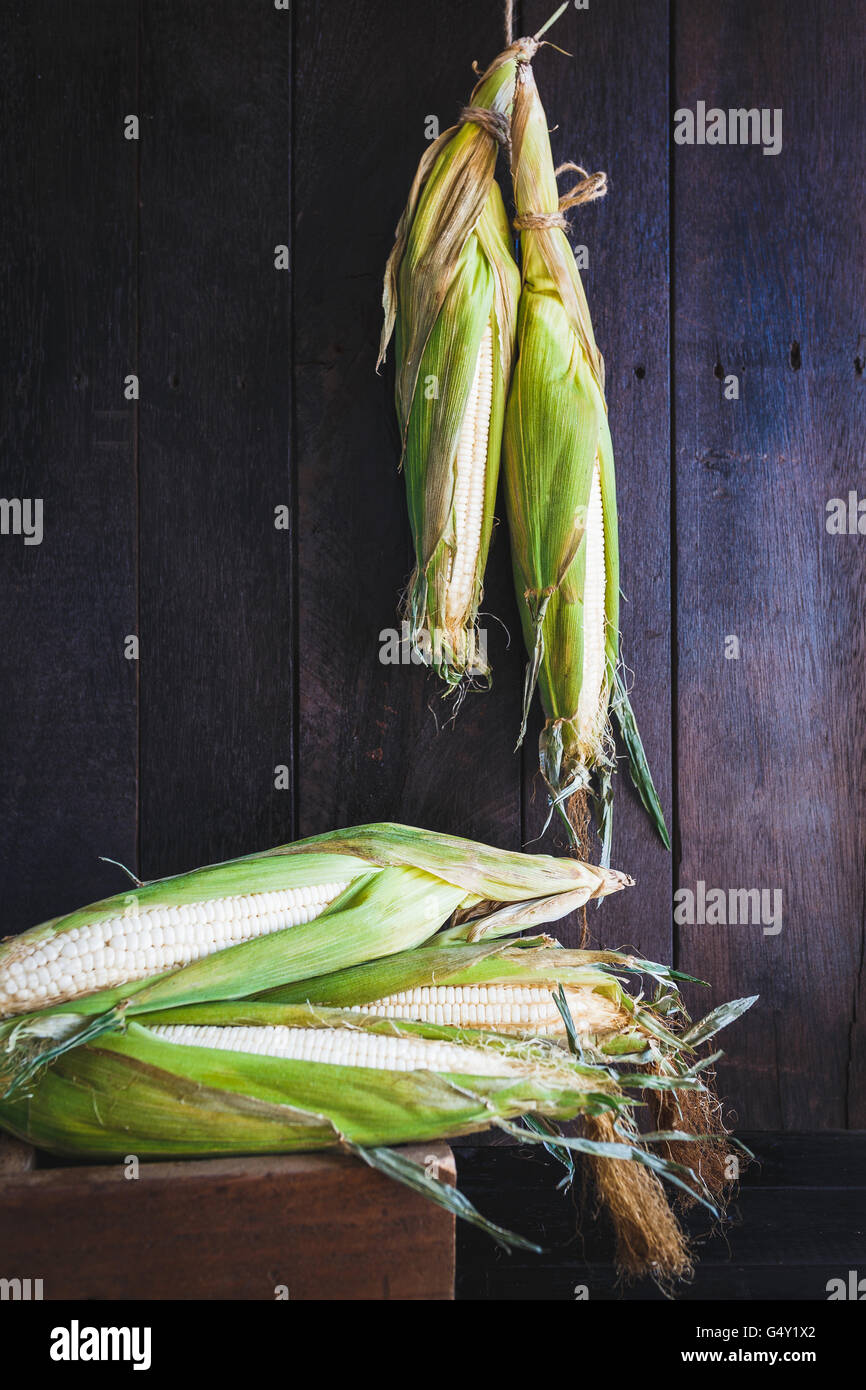 Green Corns Stock Photo