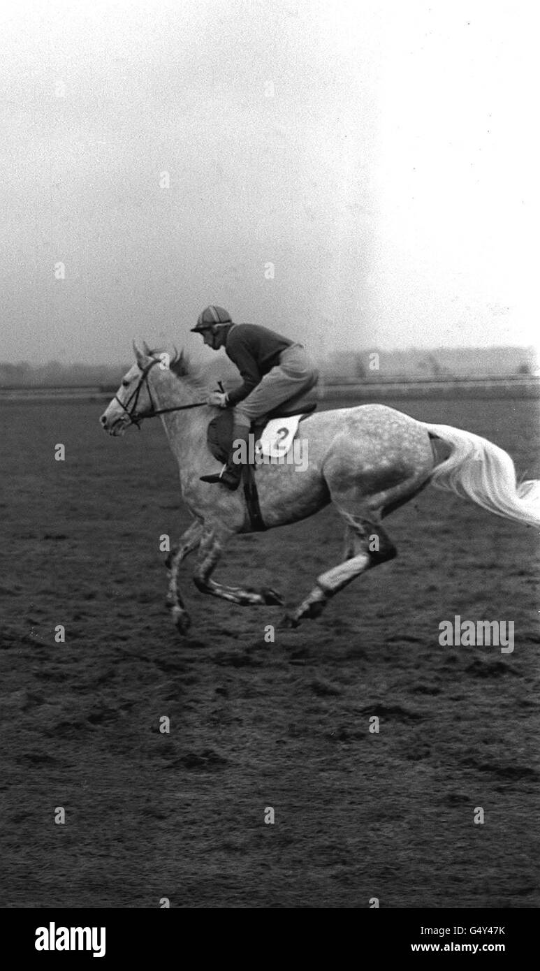 Stalbridge Colonist' Owned by R.Bundell, trained by K.Cundell, ridden by Stan Mellor. Circa 1968 Stock Photo