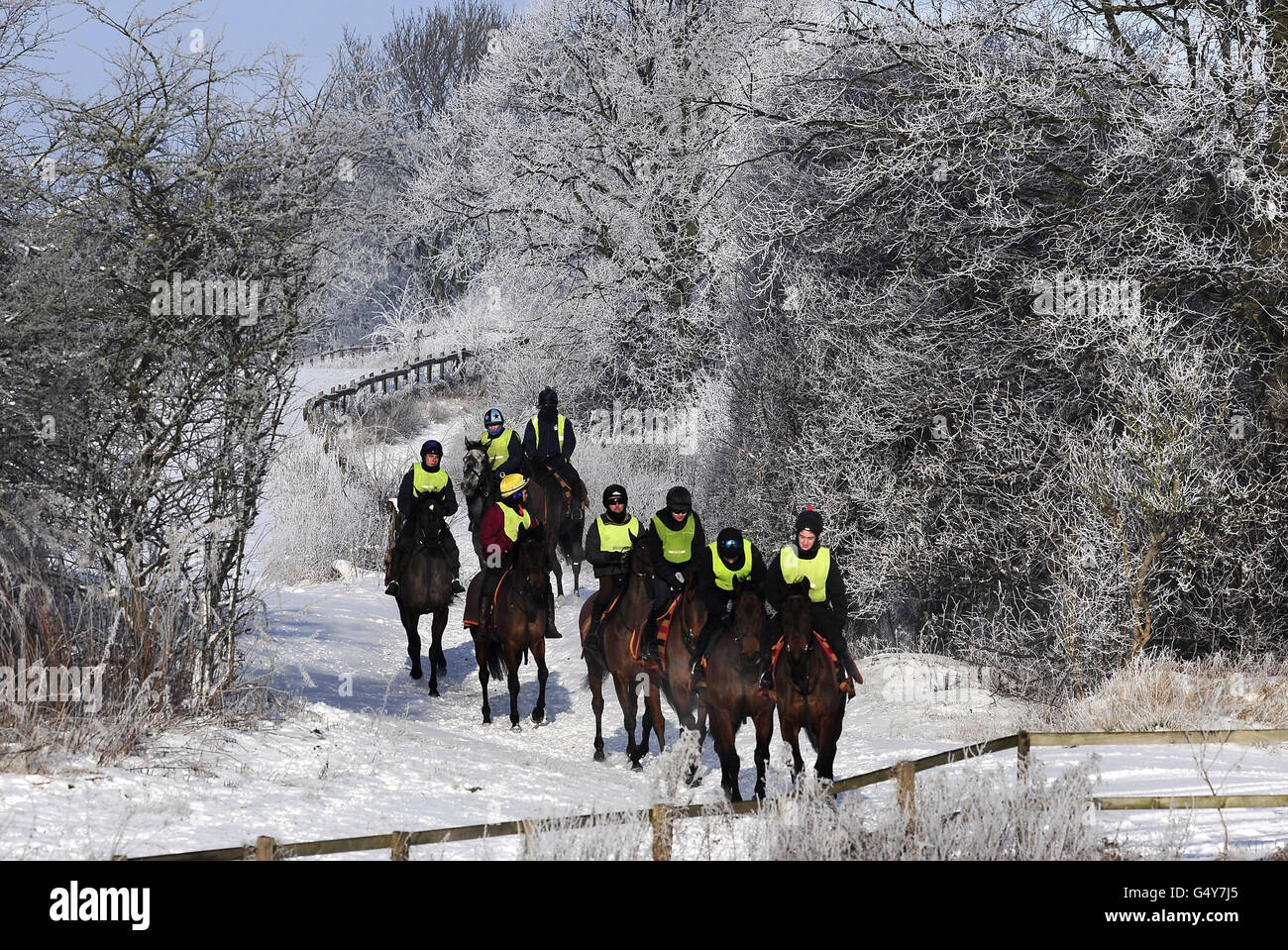 Horse Racing Gallops at Malton Stock Photo Alamy