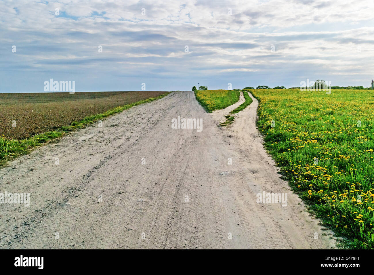 Ground road through agricultural fields.Along the road plowed brown fields and green grass fields. Stock Photo