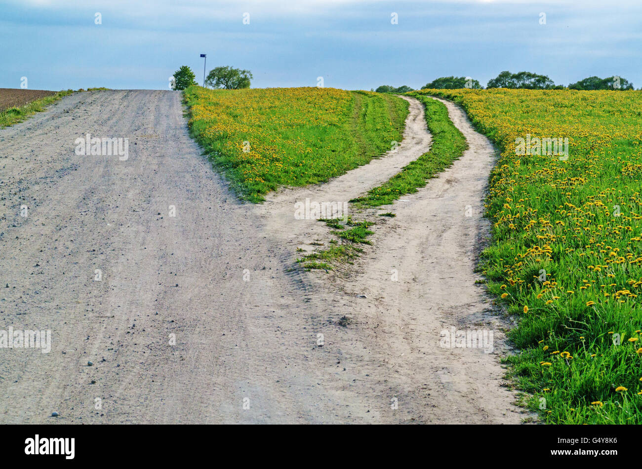Ground road through agricultural fields.Along the road plowed brown fields and green grass fields. Stock Photo