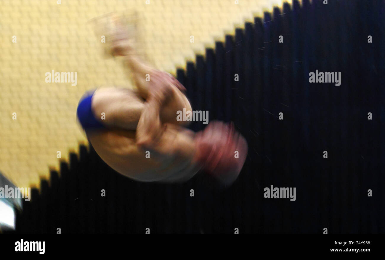 Diving peter waterfield photo call the quays swimming and diving centre