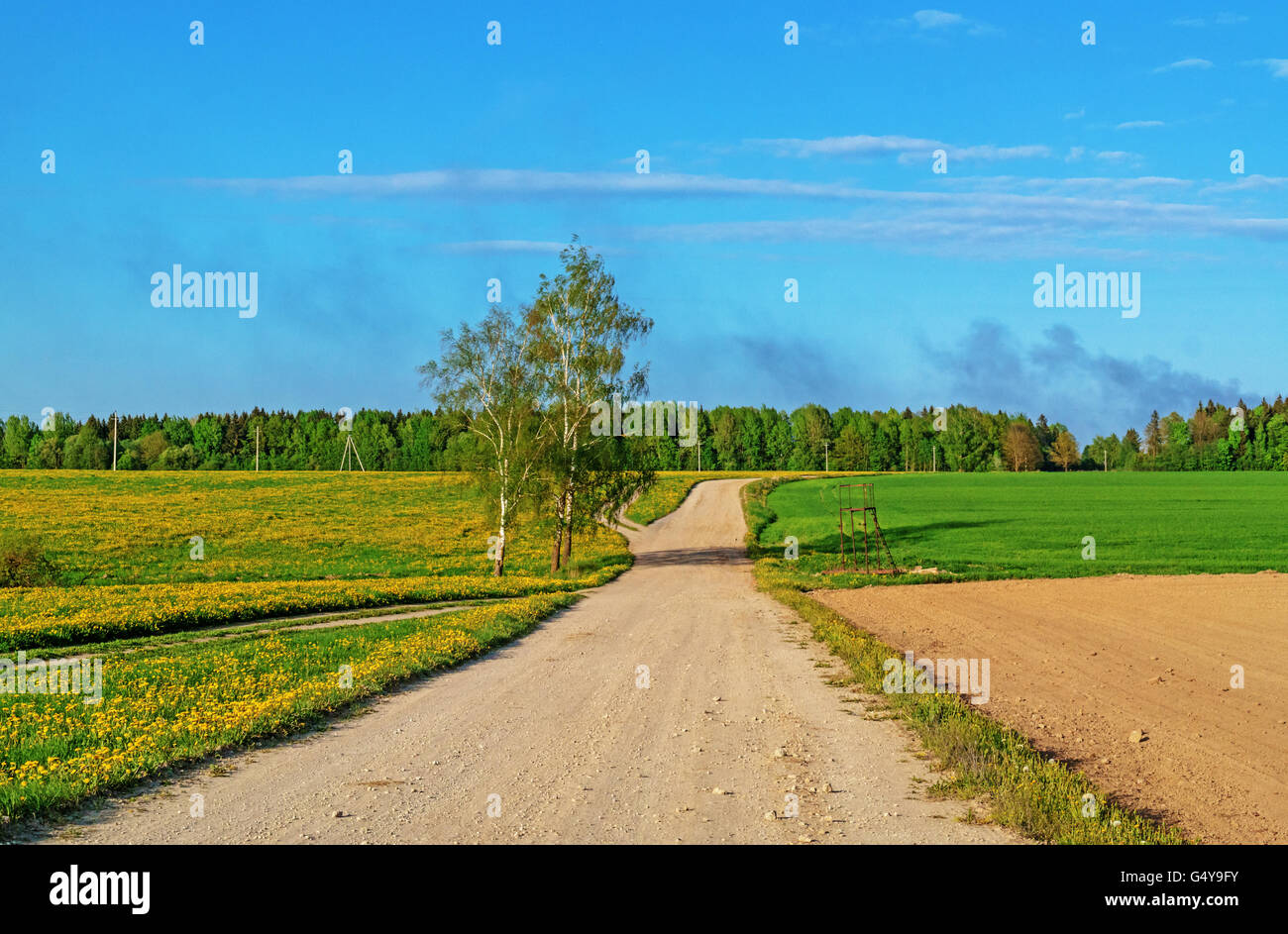 Ground road through agricultural fields.Along the road plowed brown field and green grass fields. Stock Photo