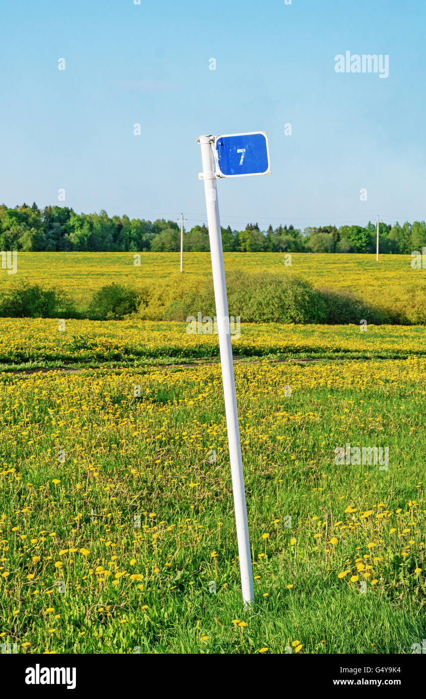 Ground road through agricultural fields.The pointer near the road on a field with yellow dandelions. Stock Photo