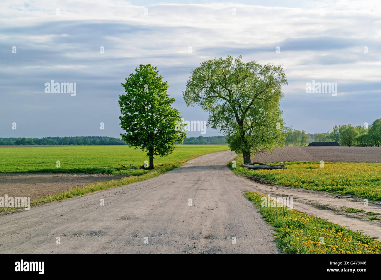 Along the road plowed brown fields and green grass fields. Stock Photo