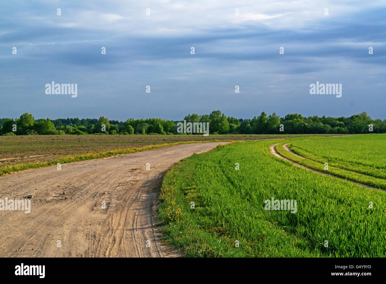 Ground road through agricultural fields.Along the road plowed brown field and green grain fields. Stock Photo