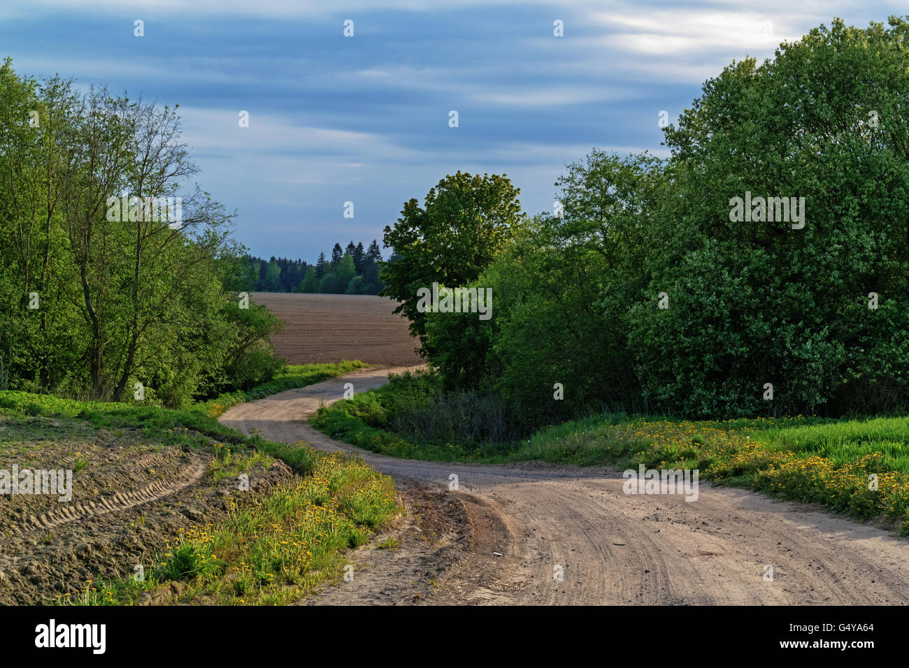 Ground road through agricultural fields. Along the road plowed brown fields and green bushes. Stock Photo