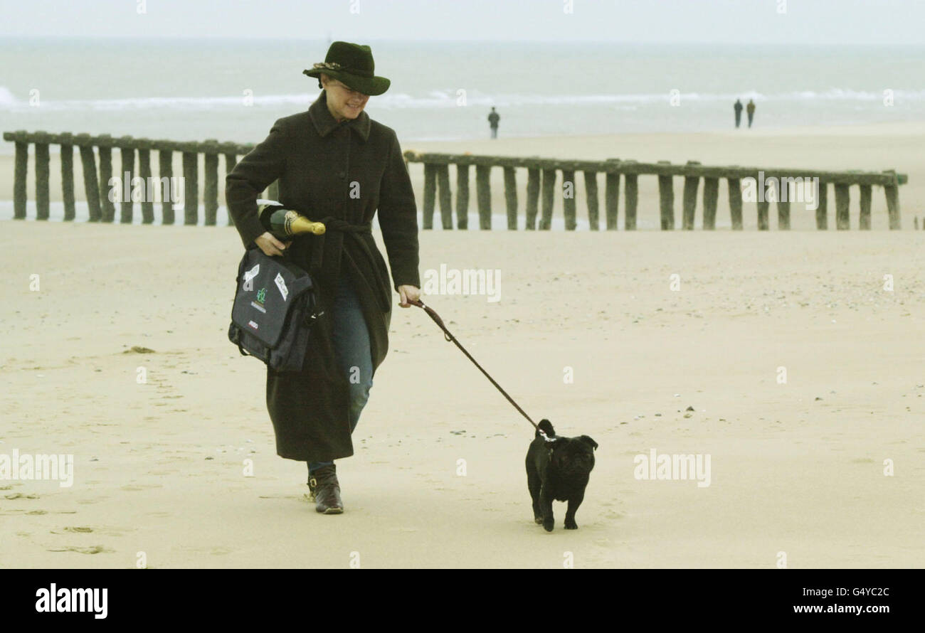 Frodo Baggins the pug walks on Calais beach with his owner Helen de Borchgrave. The five-year-old dog will sail into Dover, the first animal to arrive in Britain under the new Pet Passport scheme following the ditching of the century-old quarantine law. * Dogs and cats from 21 European countries will now be allowed into Britain providing they have a valid passport, an implanted identity chip and proof of a rabies vaccination. Stock Photo
