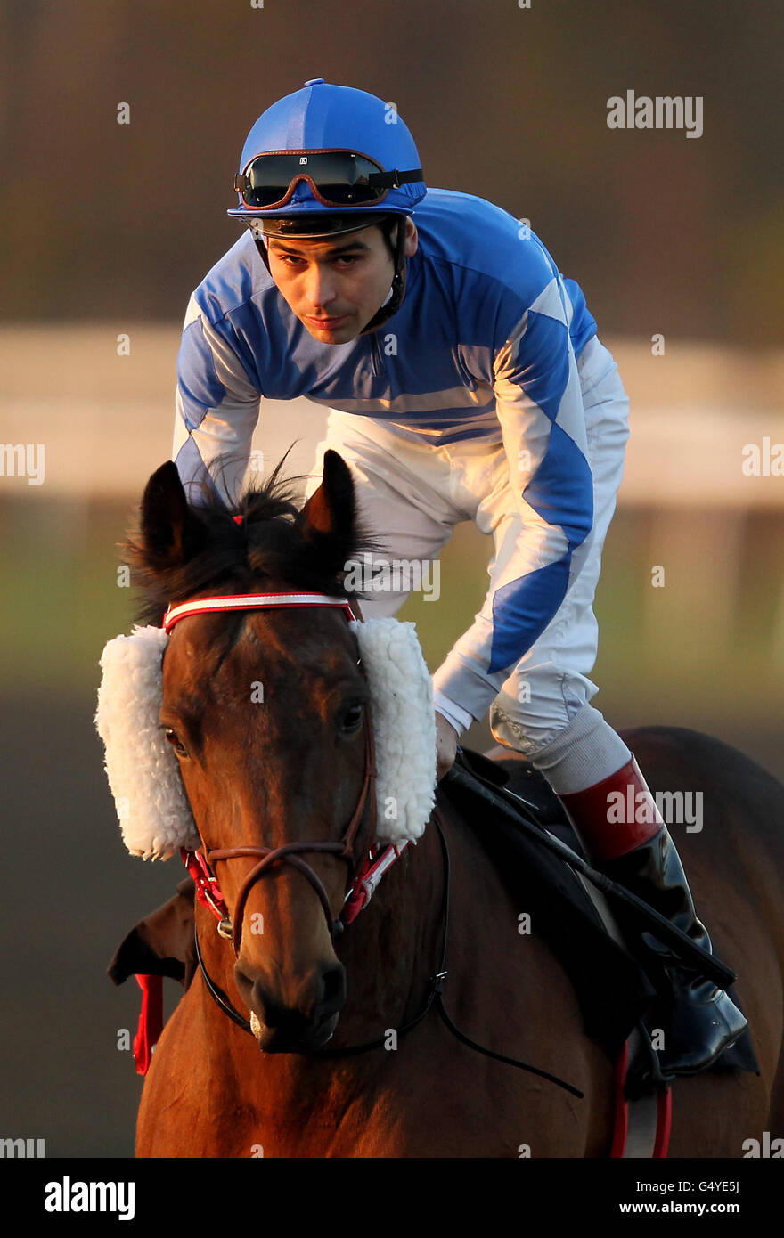 Visions of Johanna ridden by jockey Lee Newman goes to post in the Follow Us On Twitter @bluesq Handicap Stakes on the all weather track at Lingfield Park Racecourse Stock Photo