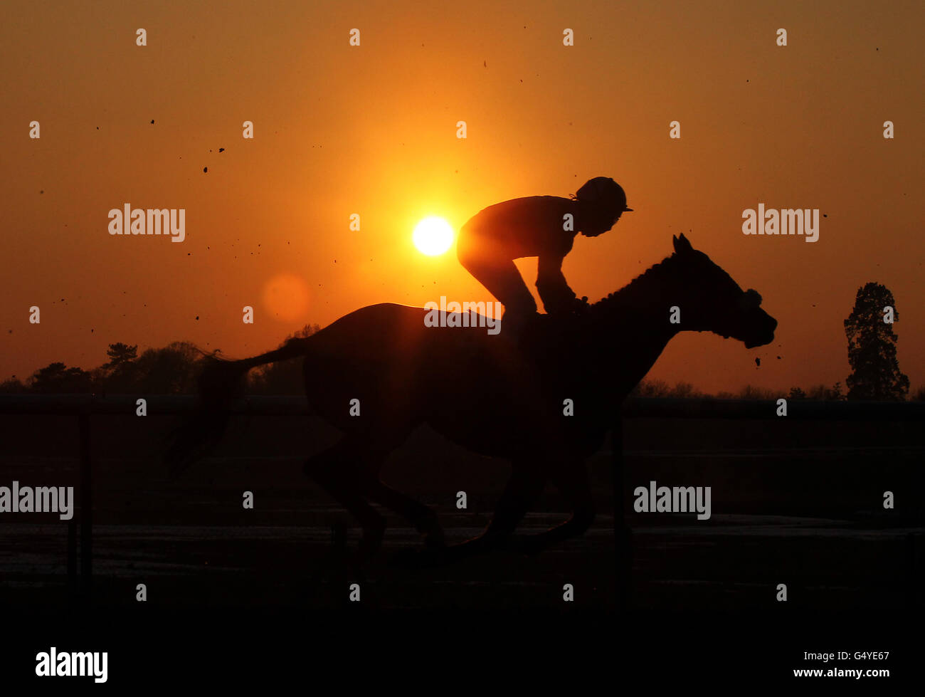 A horse and jockey are sillouetted during the last race of the day on the all weather track at Lingfield Park Racecourse Stock Photo