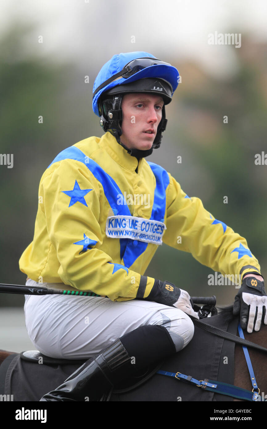 Horse Racing - Wolverhampton Racecourse Stock Photo - Alamy