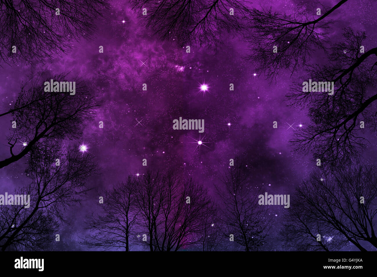 purple night sky background with bright stars and heavy nebula, low ...