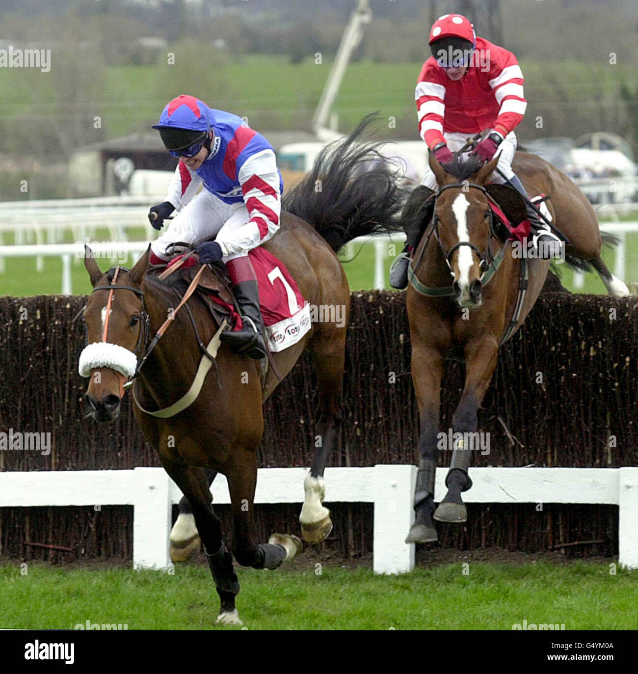Winner of the Tote Cheltenham Gold Cup 'Looks Like Trouble', ridden by Richard Johnson clears the last fence ahead of Florida Pearl and Paul Carberry, during the final day of the Cheltenham Festival. Stock Photo