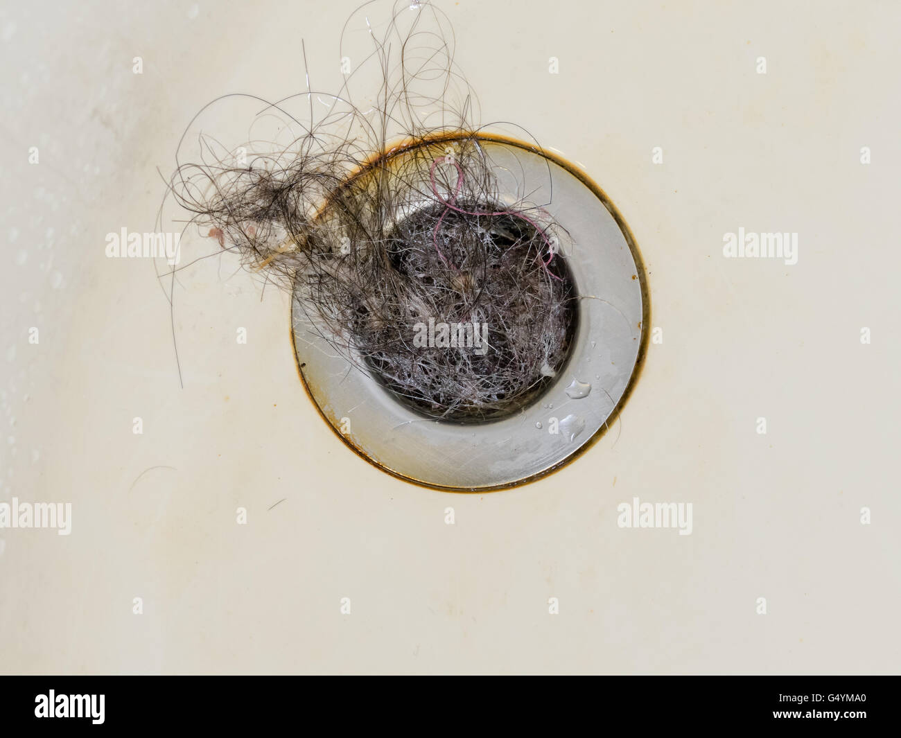 Bath plug hole blocked with hair Stock Photo Alamy