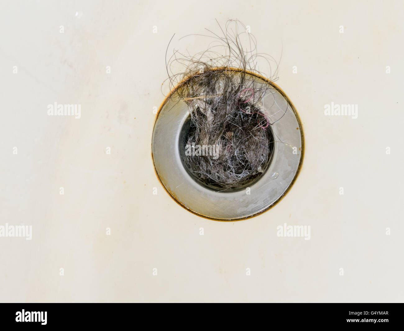 Bath plug hole blocked with hair Stock Photo Alamy