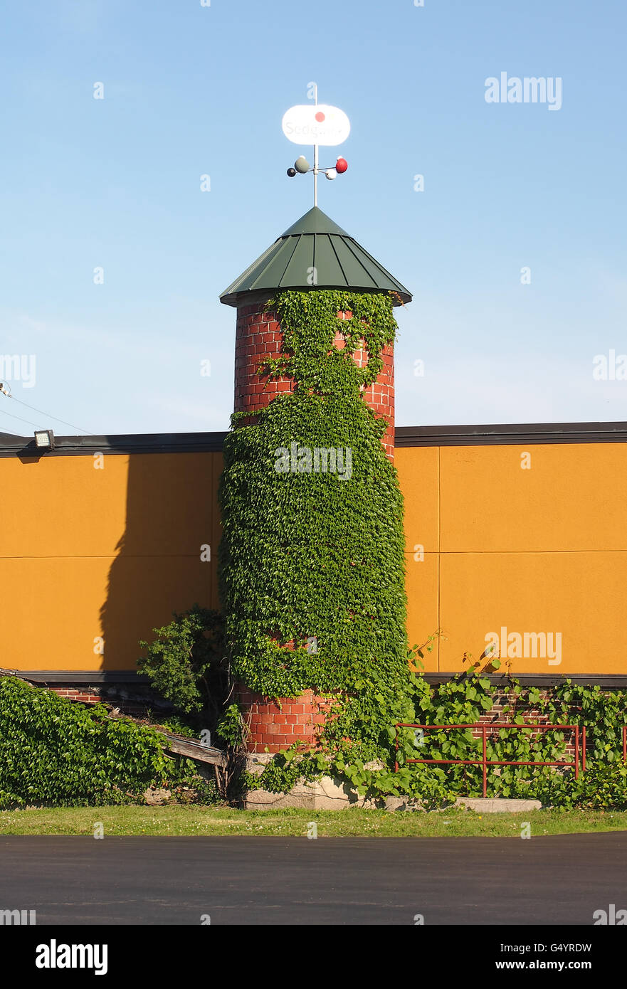 decorative turret covered in ivy Stock Photo