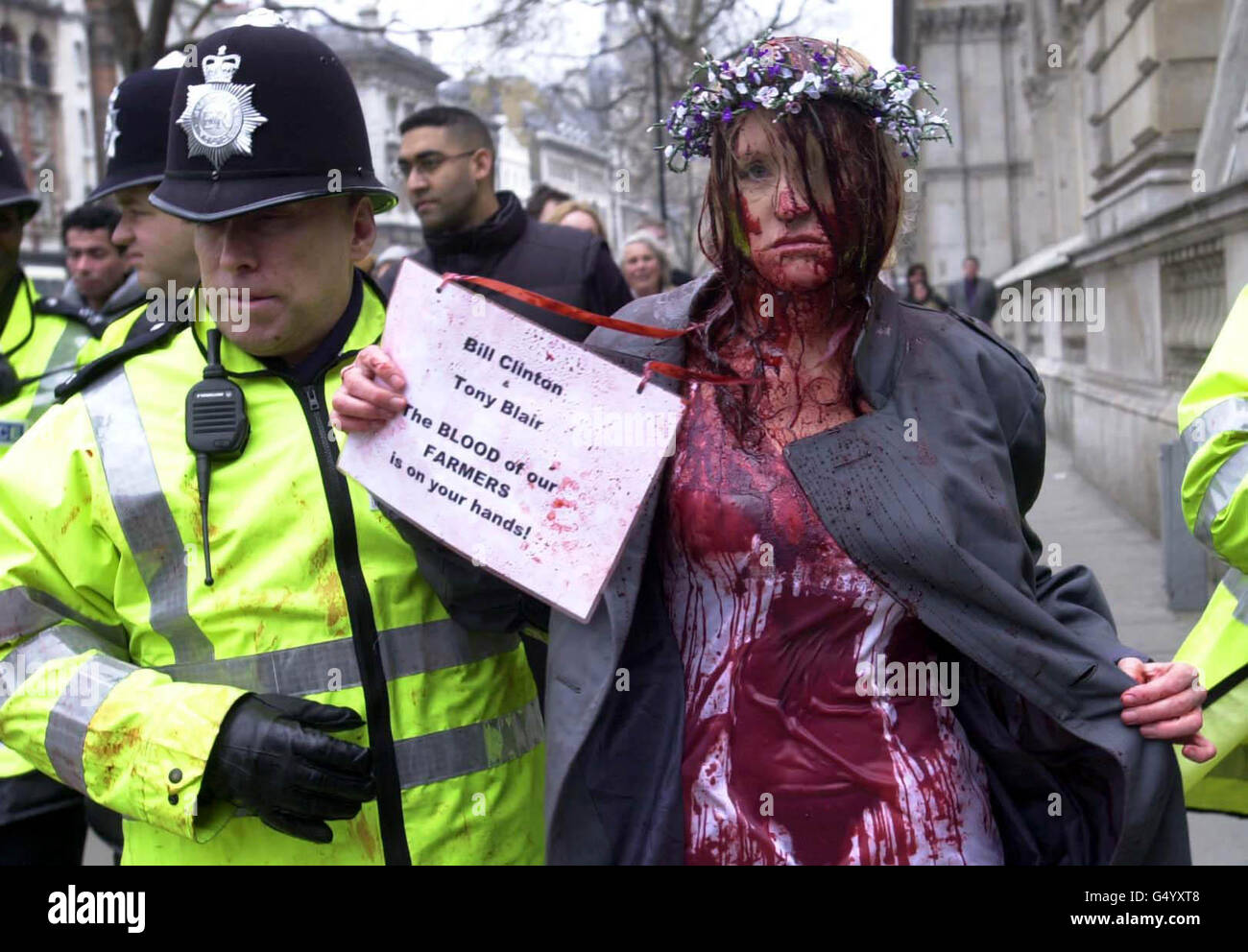 Birgit Cunningham is led away by police after handcuffing herself to the gates outside Downing Street and covering herself with fake blood, in protest at the decline of agriculture and the plight of farmers in the Uk. Stock Photo